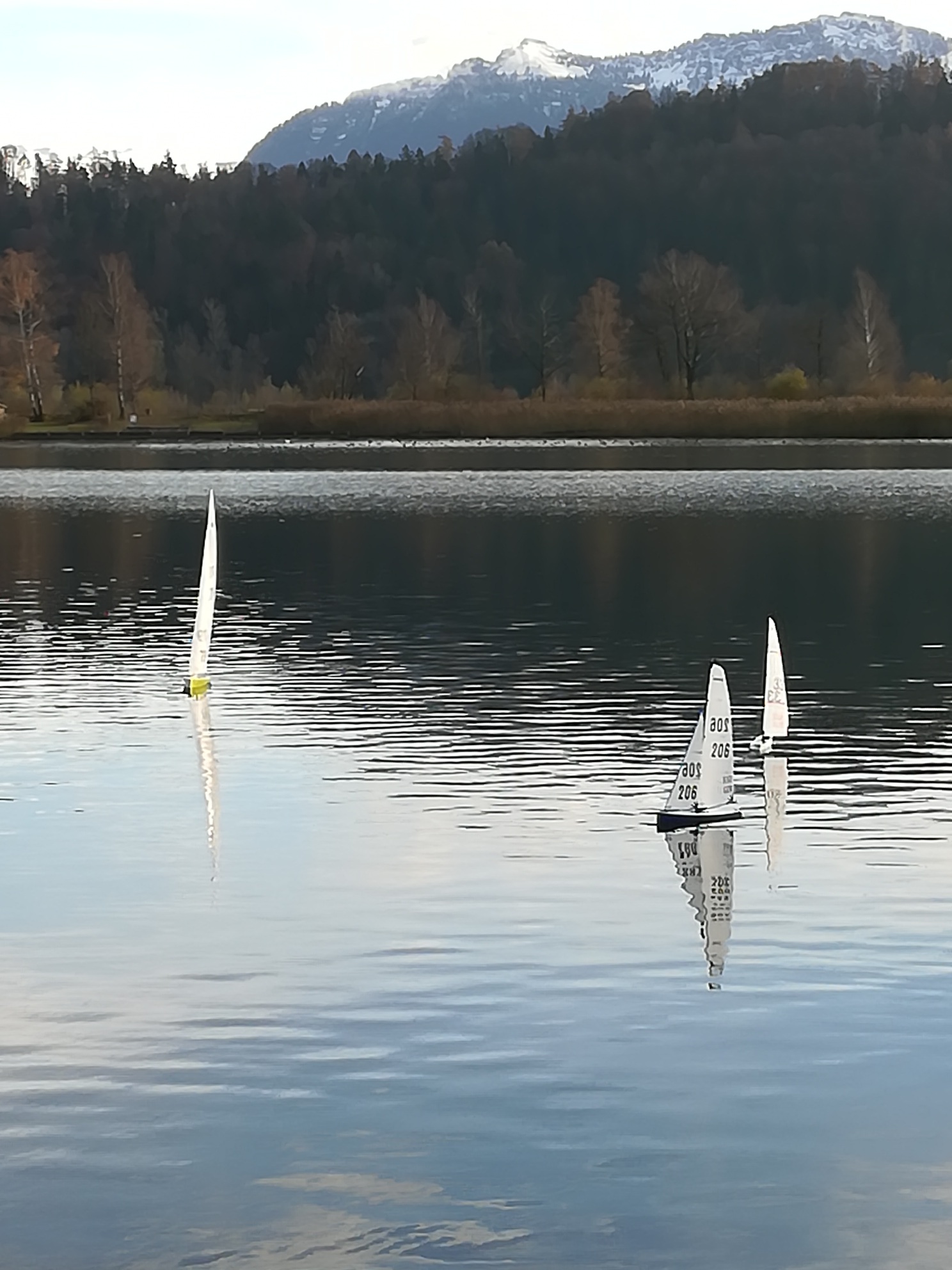 IMG_20181201_140509_resized_20181201_043021587