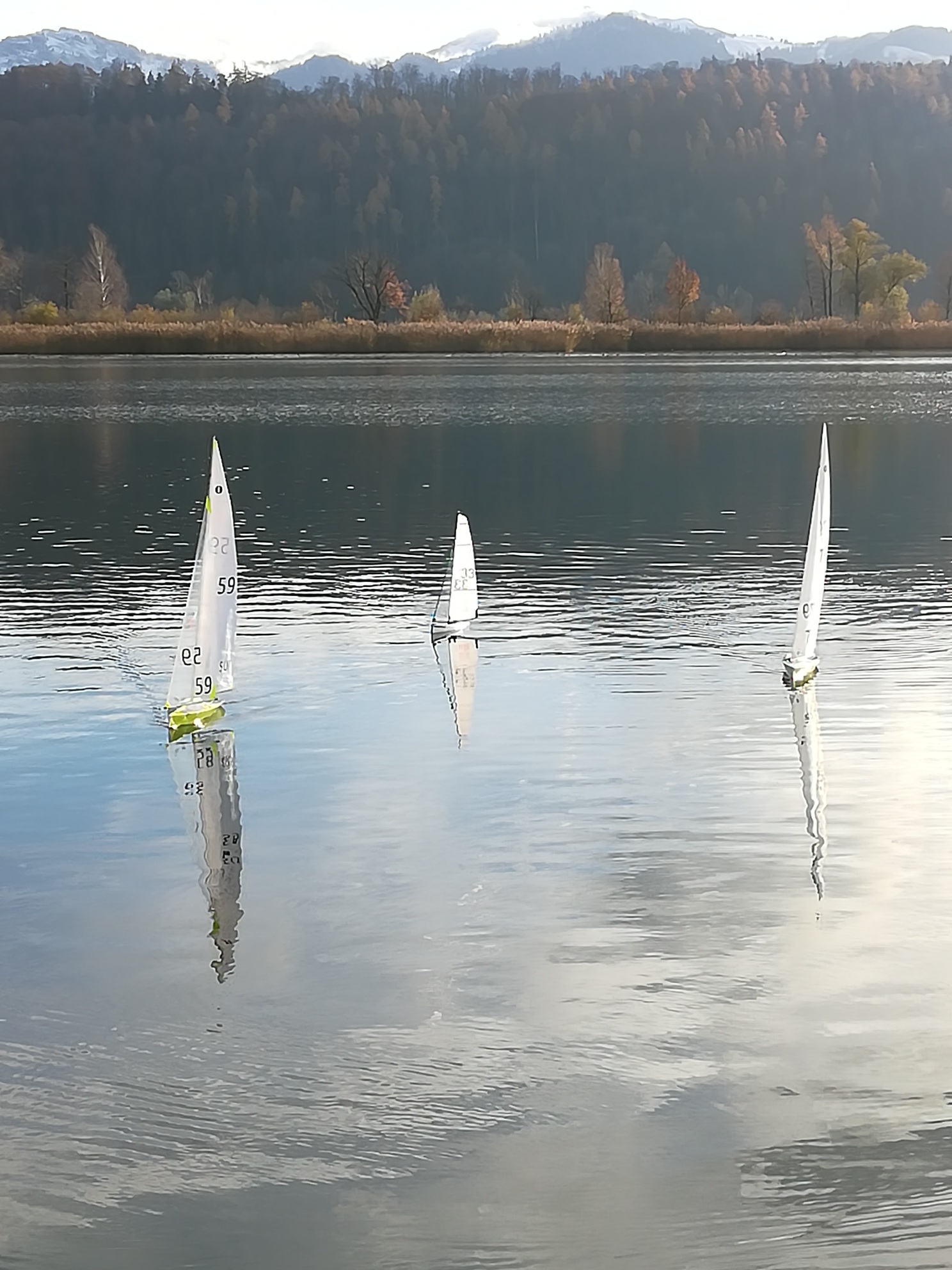 IMG_20181201_140907_resized_20181201_042940377