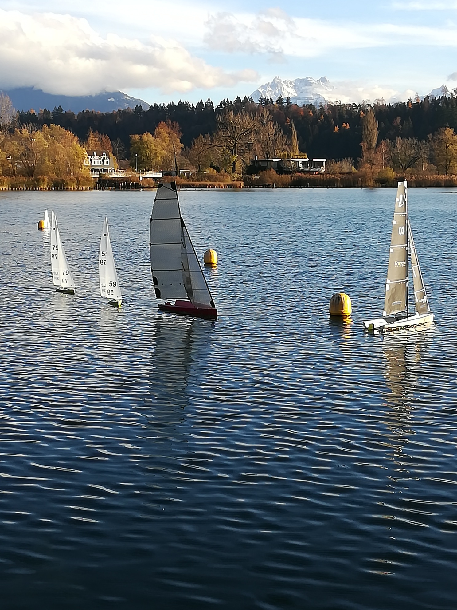 IMG_20181201_144638_resized_20181201_042916502