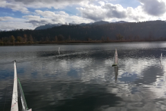 IMG_20181201_134515_resized_20181201_043122405