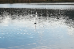 IMG_20181201_135949_resized_20181201_043026024