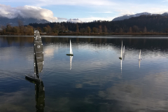 IMG_20181201_140536_resized_20181201_042939840