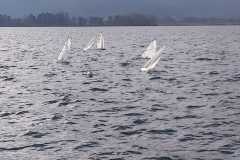 WhatsApp-Image-2019-11-30-at-11.27.15