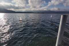 WhatsApp-Image-2019-11-30-at-11.27.17