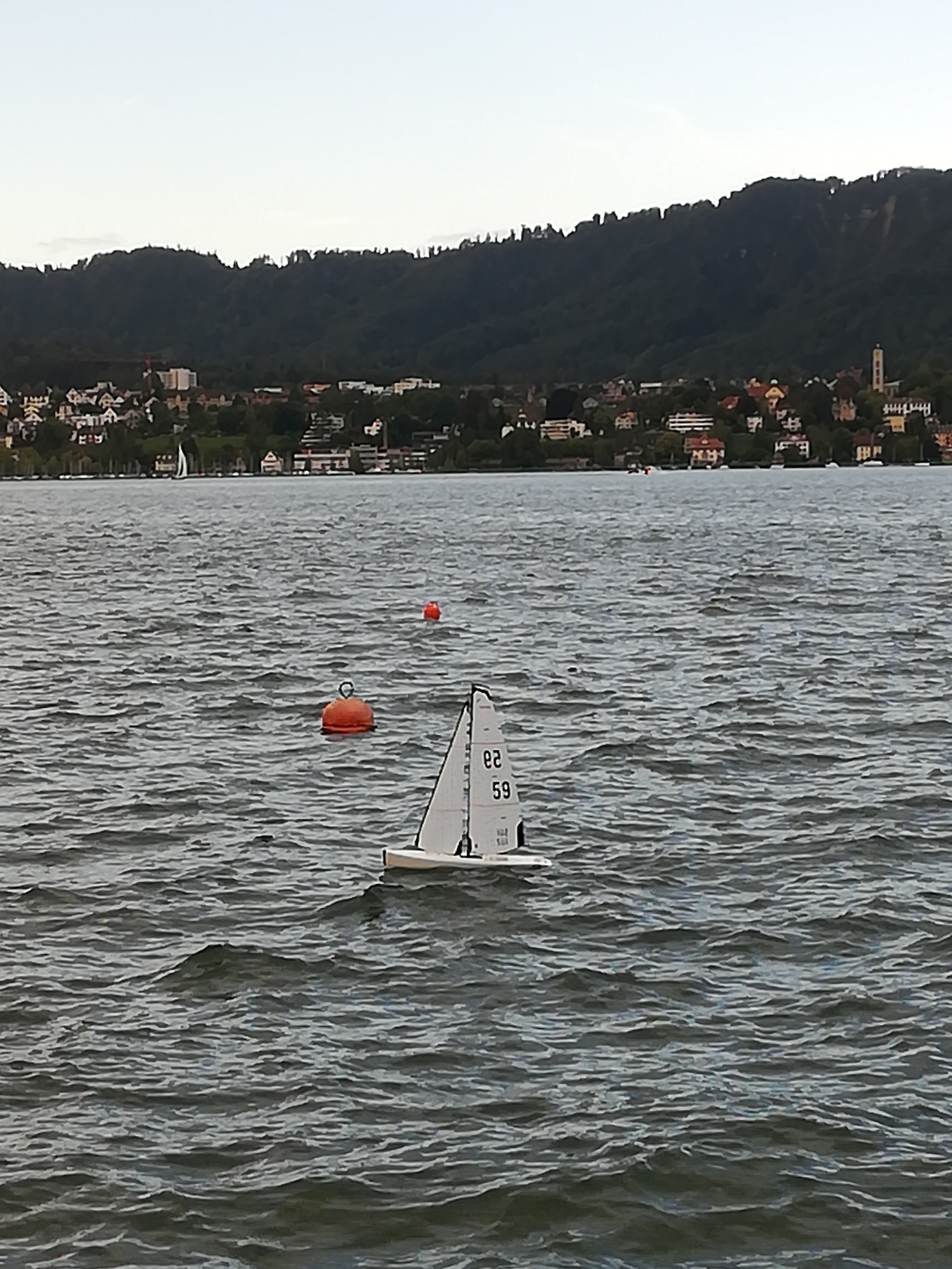 IMG_20190928_095003_resized_20190928_054610981