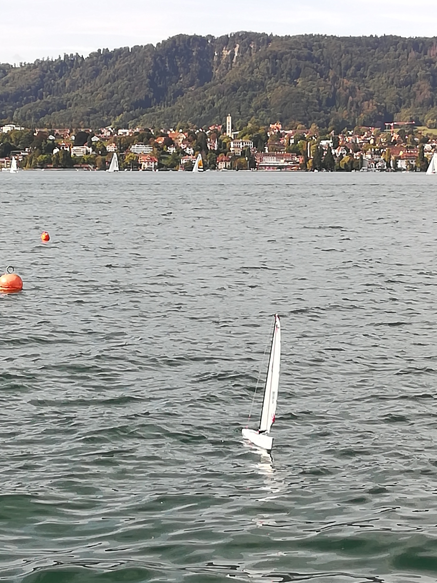 IMG_20190928_112956_resized_20190928_054536959