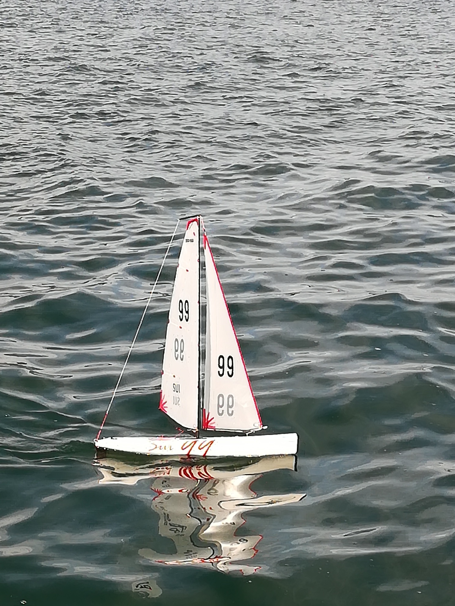 IMG_20190928_113005_resized_20190928_054542604