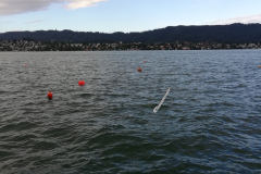 IMG_20190928_094949_resized_20190928_054609749