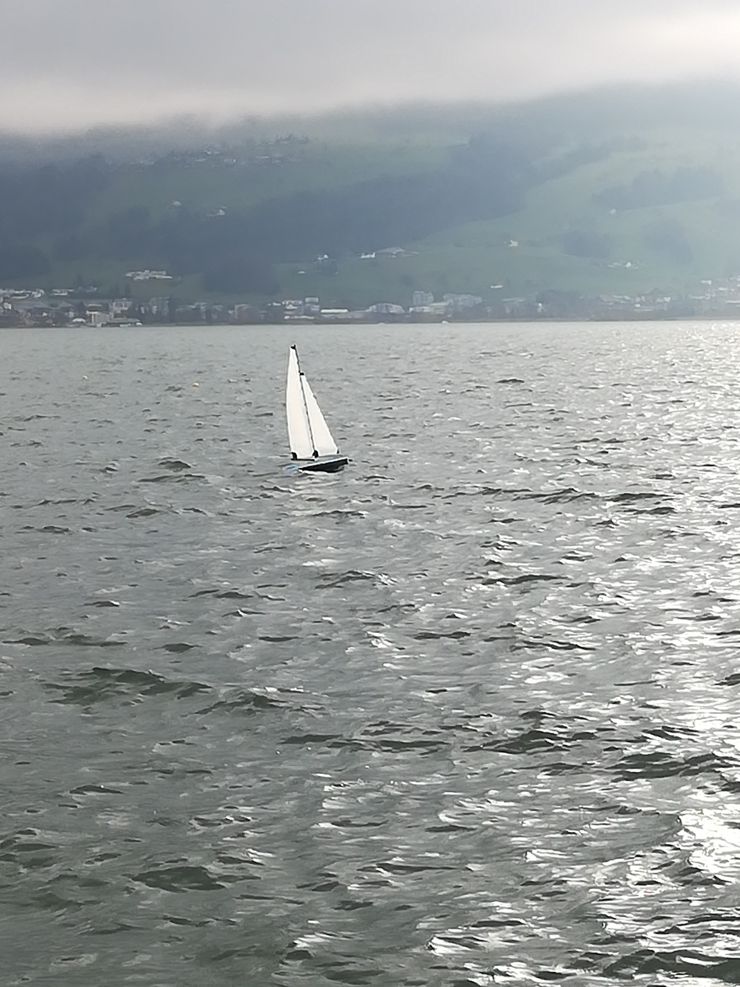 IMG_20190101_141623_1_resized_20190101_042237771