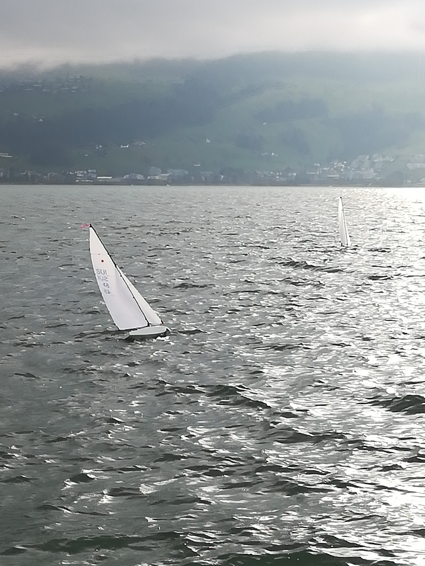 IMG_20190101_141642_resized_20190101_042236677