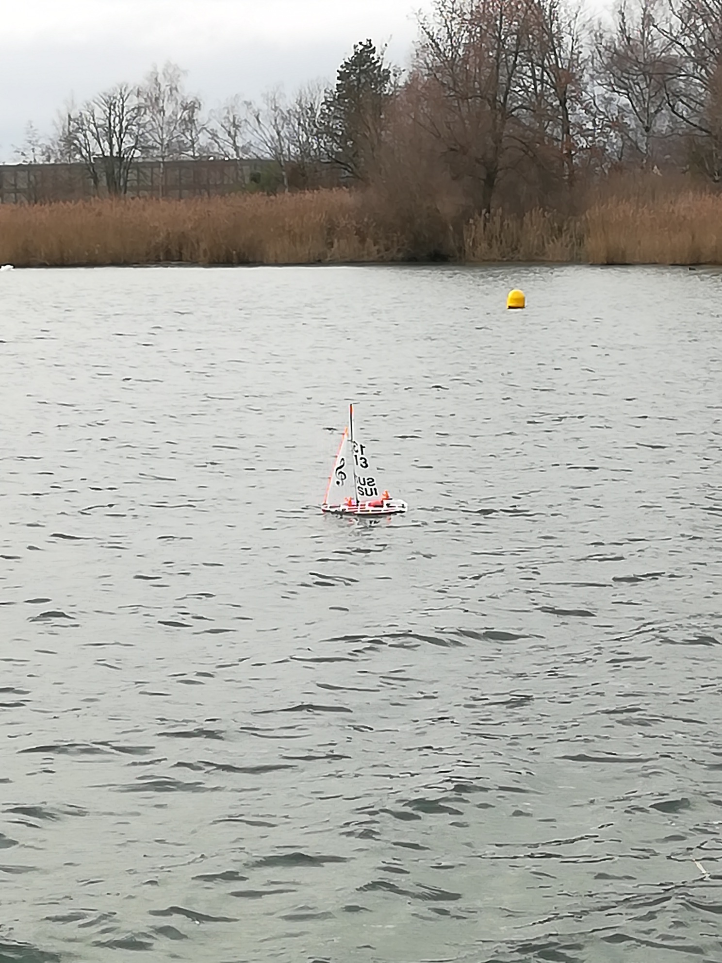 IMG_20190101_144617_resized_20190101_042234770