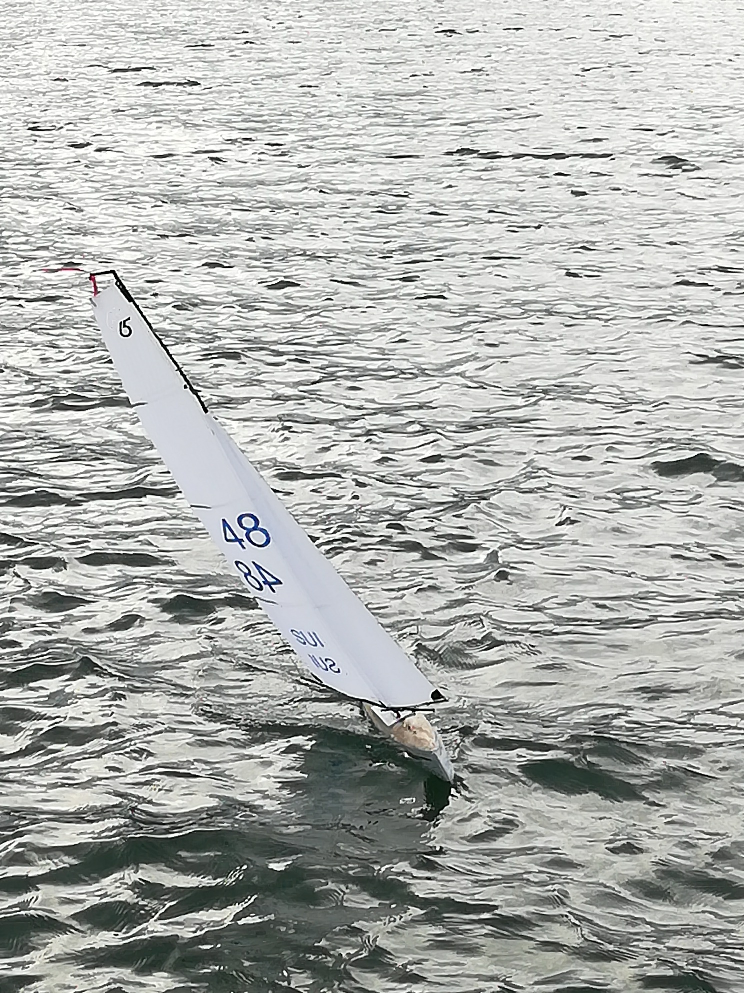 IMG_20190101_144621_1_resized_20190101_042233886