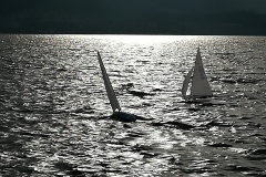 IMG_20190101_141606_resized_20190101_042239747