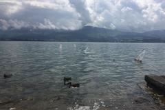 WhatsApp-Image-2019-09-07-at-17.16.56