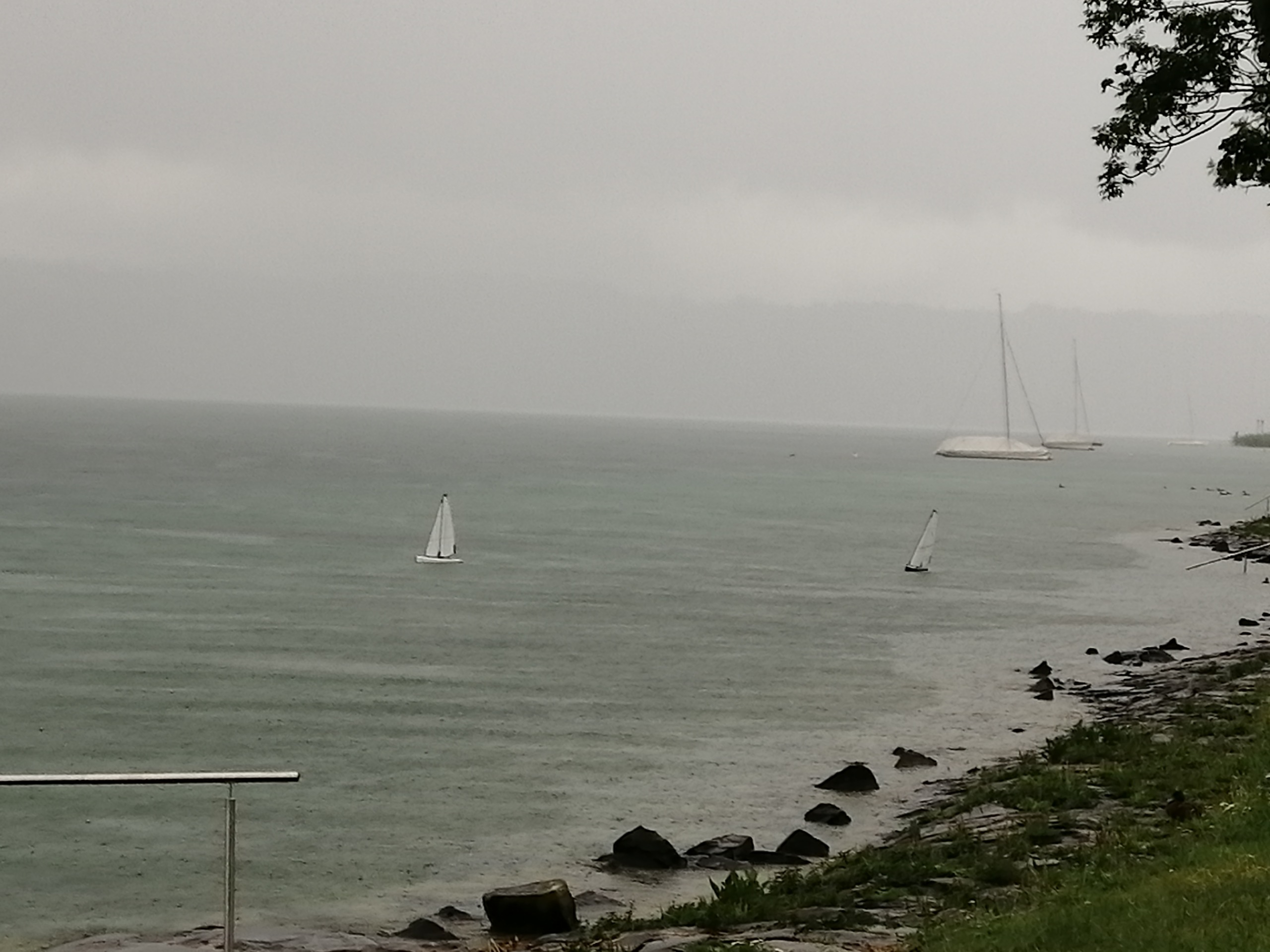 IMG_20200711_101540_resized_20200711_050726857