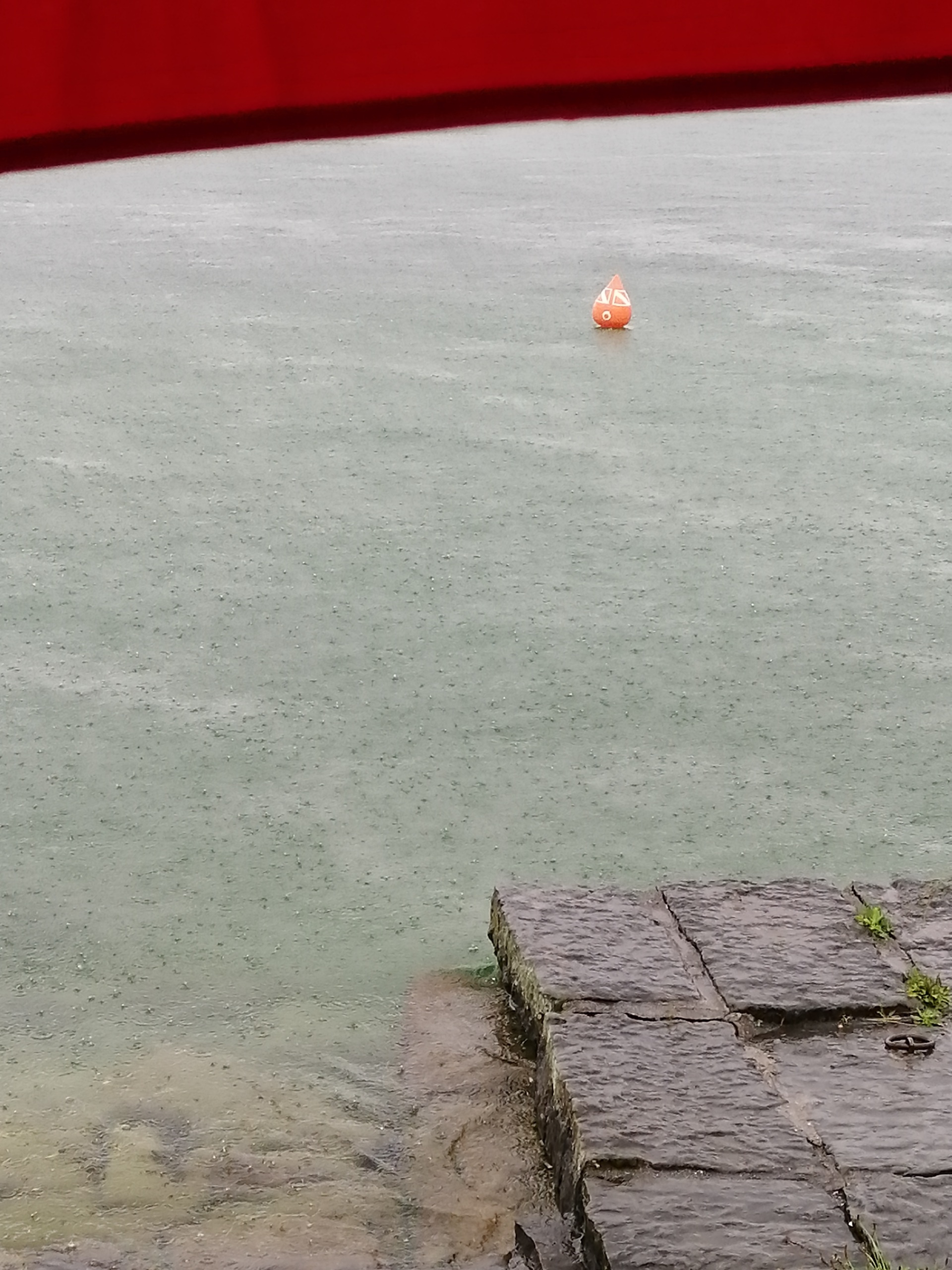 IMG_20200711_101554_resized_20200711_050725887