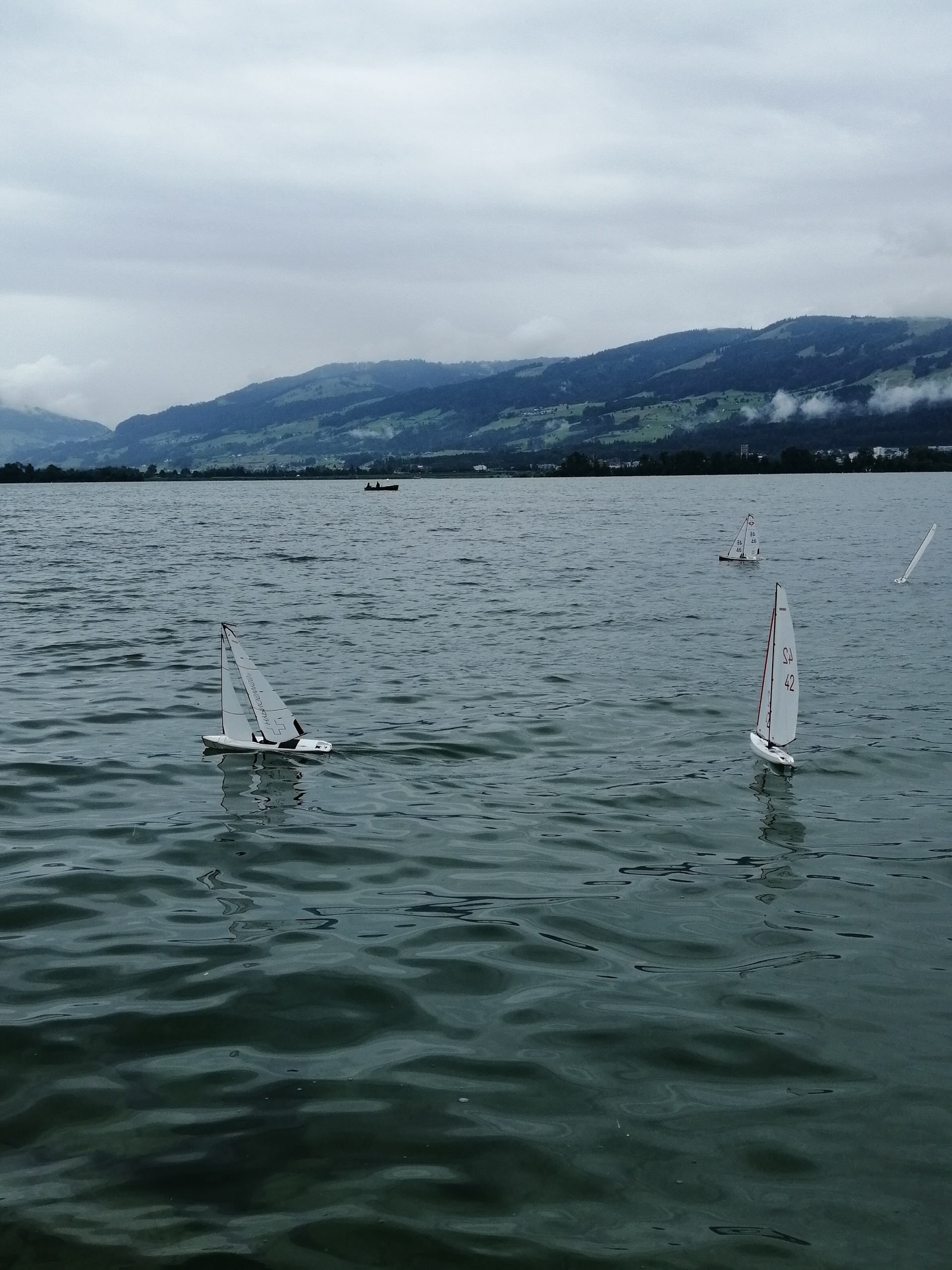 IMG_20200711_131700_resized_20200711_050815652