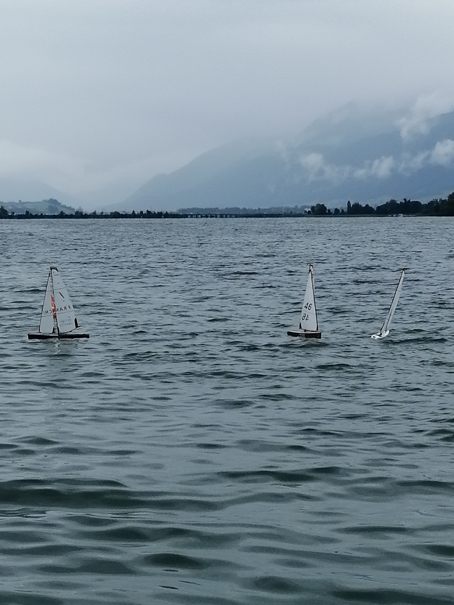 IMG_20200711_131744_resized_20200711_050817368