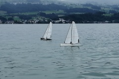 IMG_20200711_132307_resized_20200711_051039431