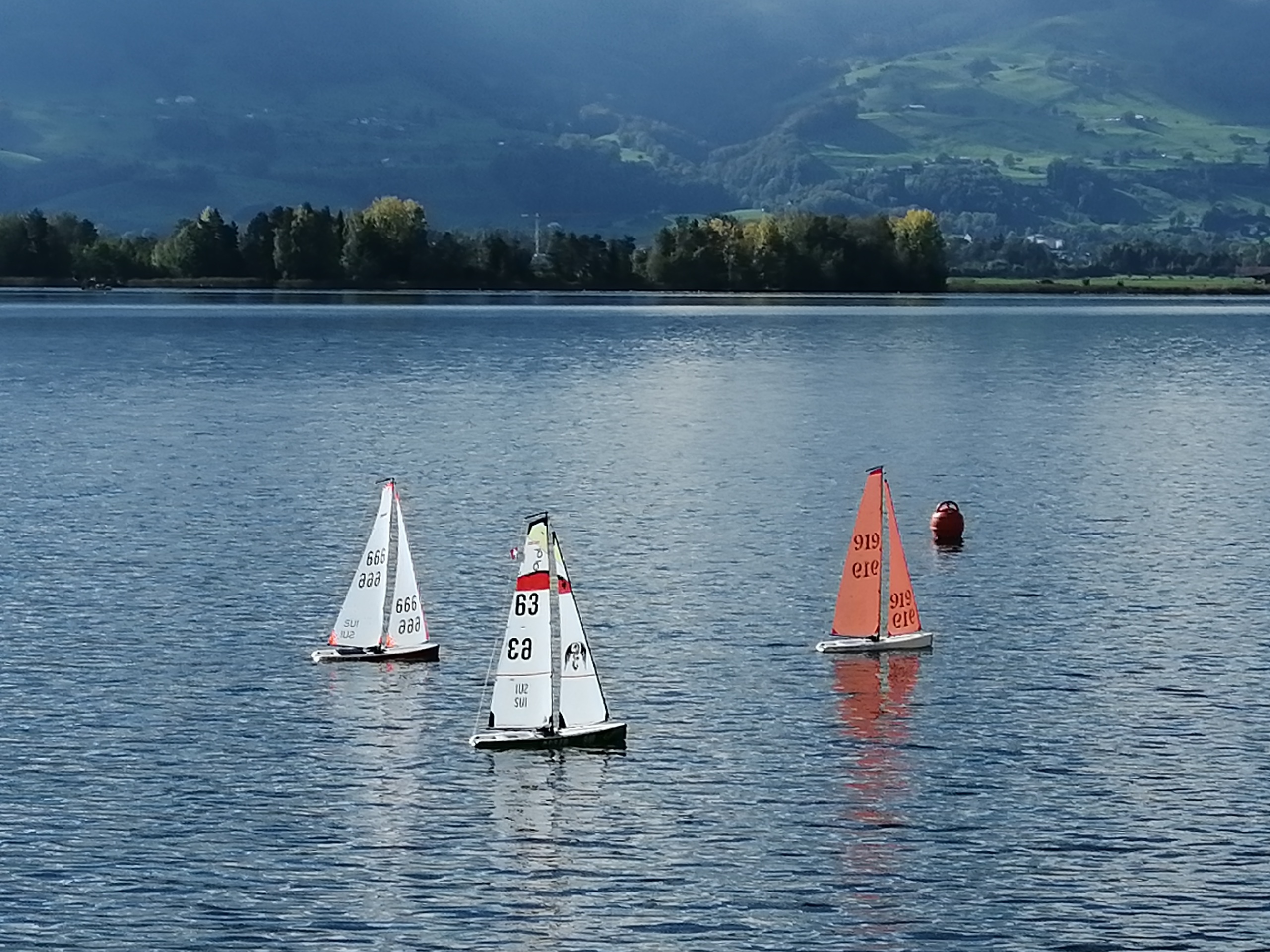 IMG_20201011_120137_resized_20201011_051425825