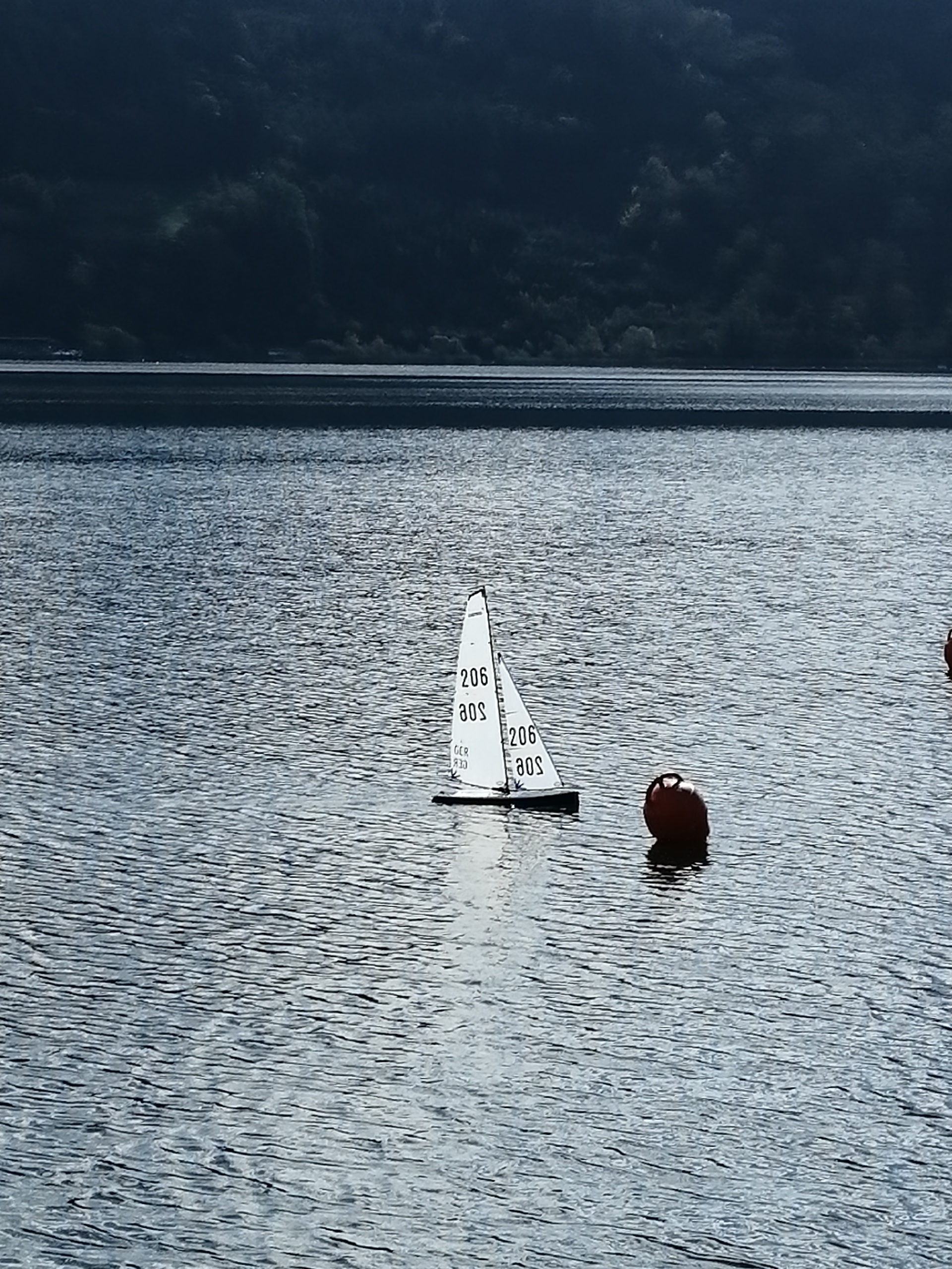 IMG_20201011_120807_resized_20201011_051546523