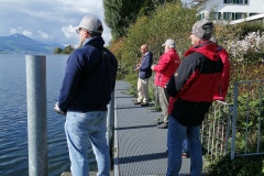 IMG_20201011_120106_resized_20201011_051355797