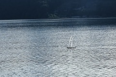 IMG_20201011_120323_resized_20201011_051450811