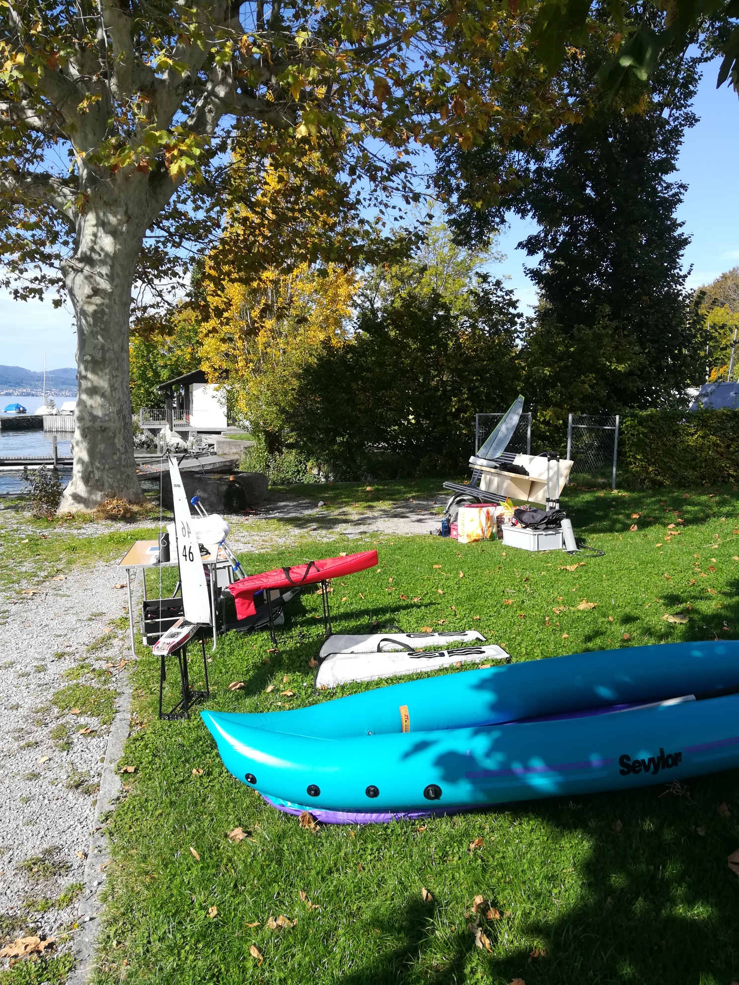 IMG_20191013_123123_resized_20191013_044839506