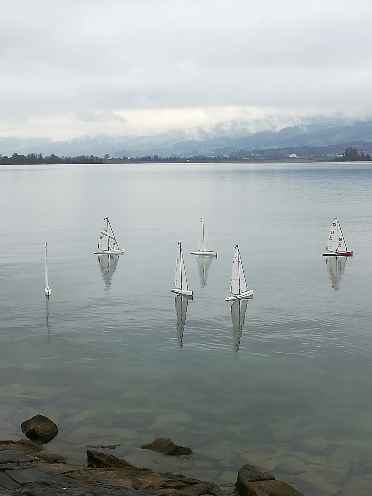 IMG_20191117_140037_resized_20191117_051554127