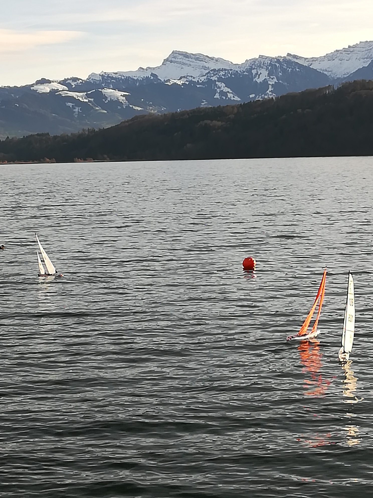 IMG_20191215_103511_resized_20191215_044644815