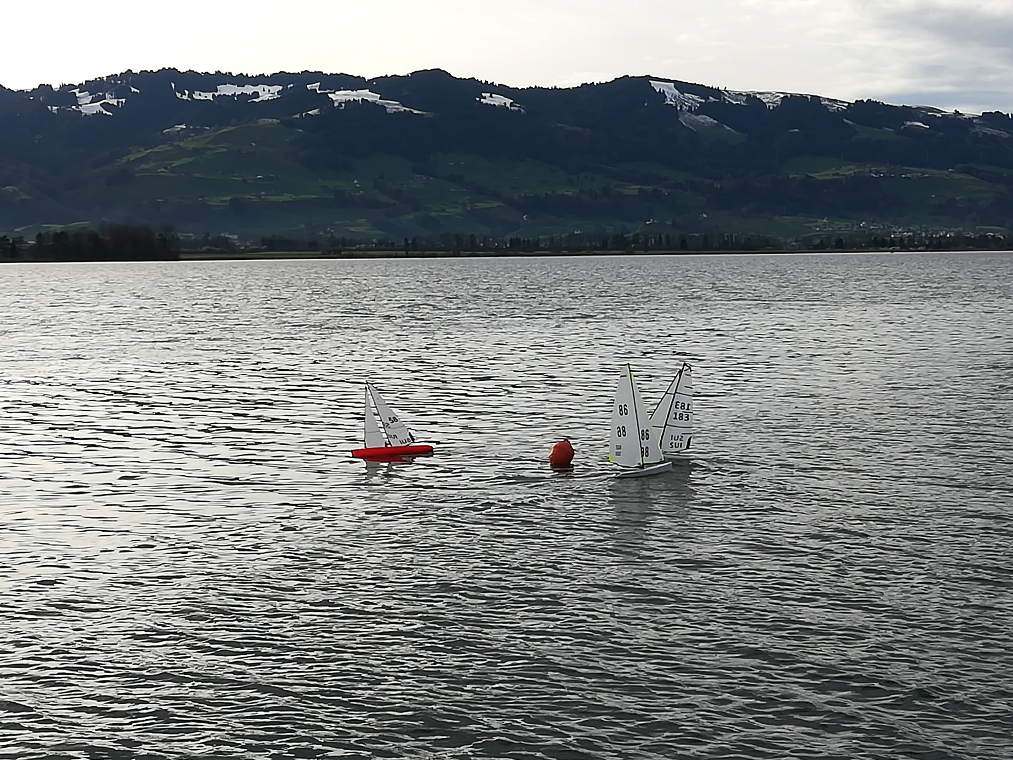 IMG_20191215_124519_resized_20191215_044722901