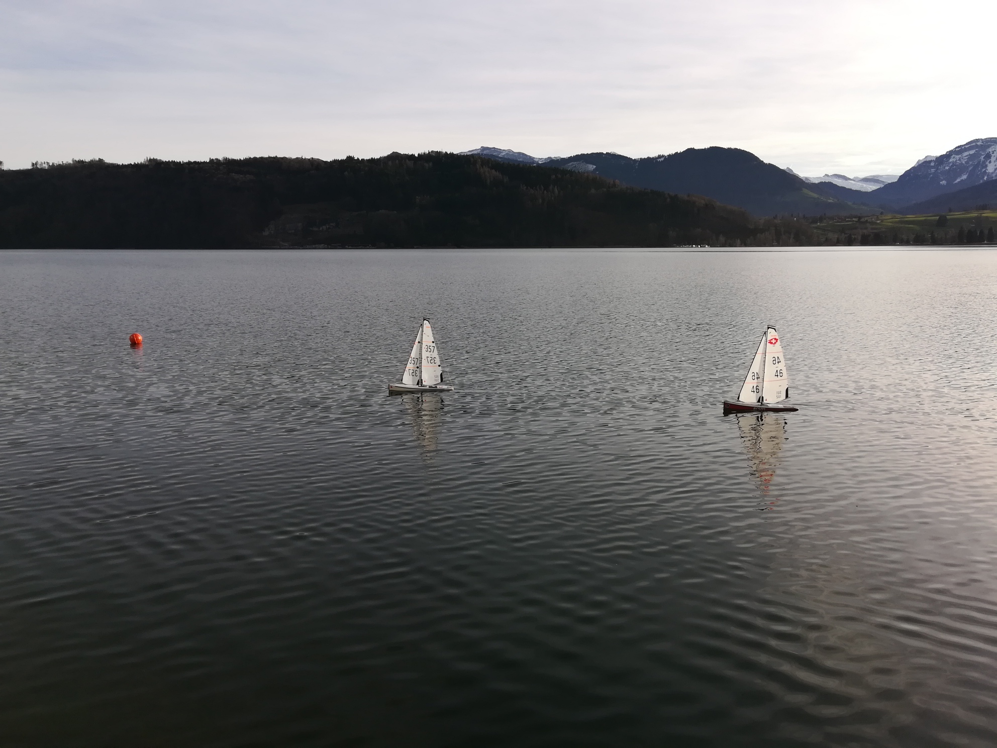 IMG_20191215_144543_resized_20191215_044751886