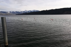 IMG_20191215_124351_resized_20191215_044641855