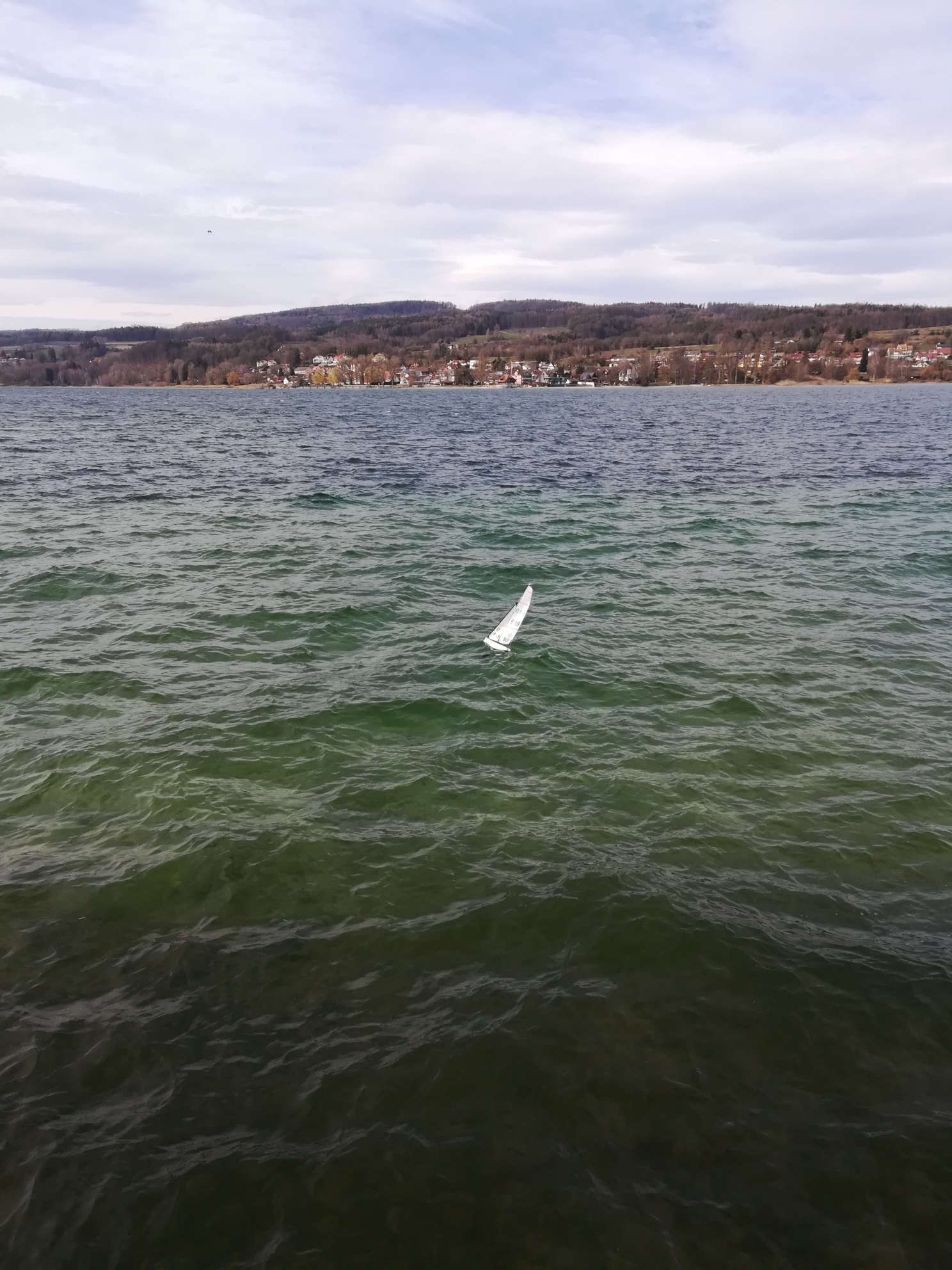 IMG_20190303_130653_resized_20190303_081554106