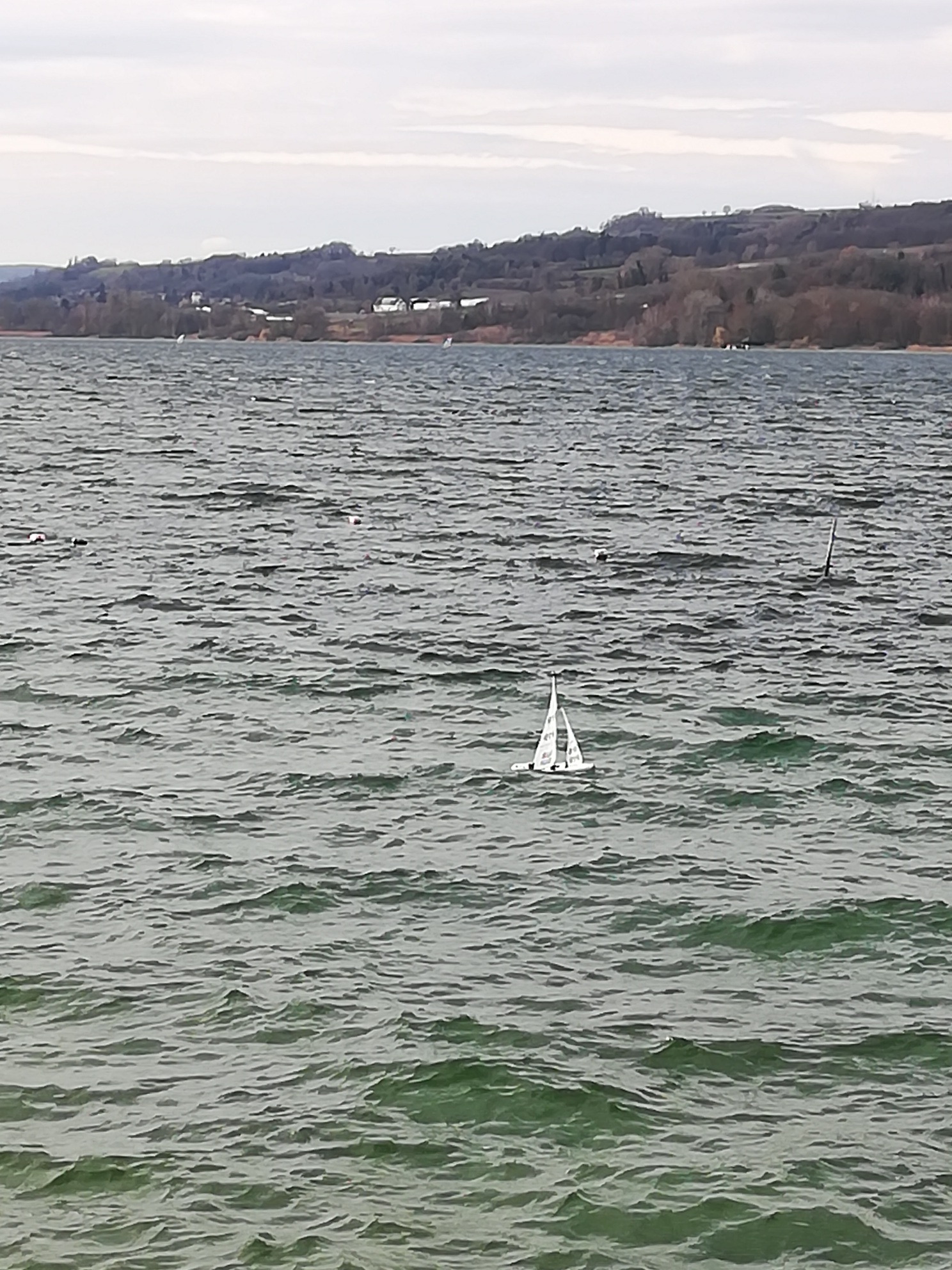 IMG_20190303_130757_resized_20190303_081551476