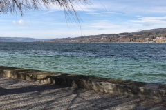 WhatsApp Image 2019-03-03 at 11.01.05