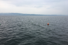 19E86C2E-719A-4C47-82AD-966F3BBCB6C1