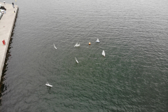 created by dji camera