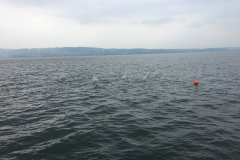 8C9794D0-CF99-48CA-B89C-BD05AB8BD826