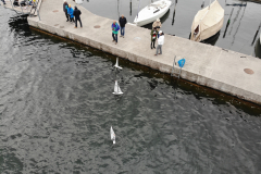 created by dji camera