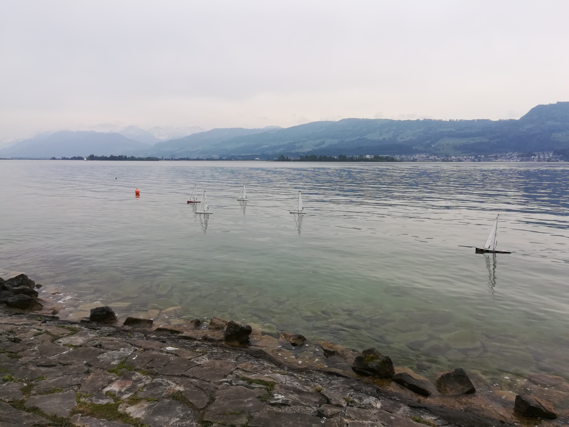 IMG_20190518_132533_resized_20190518_053530214