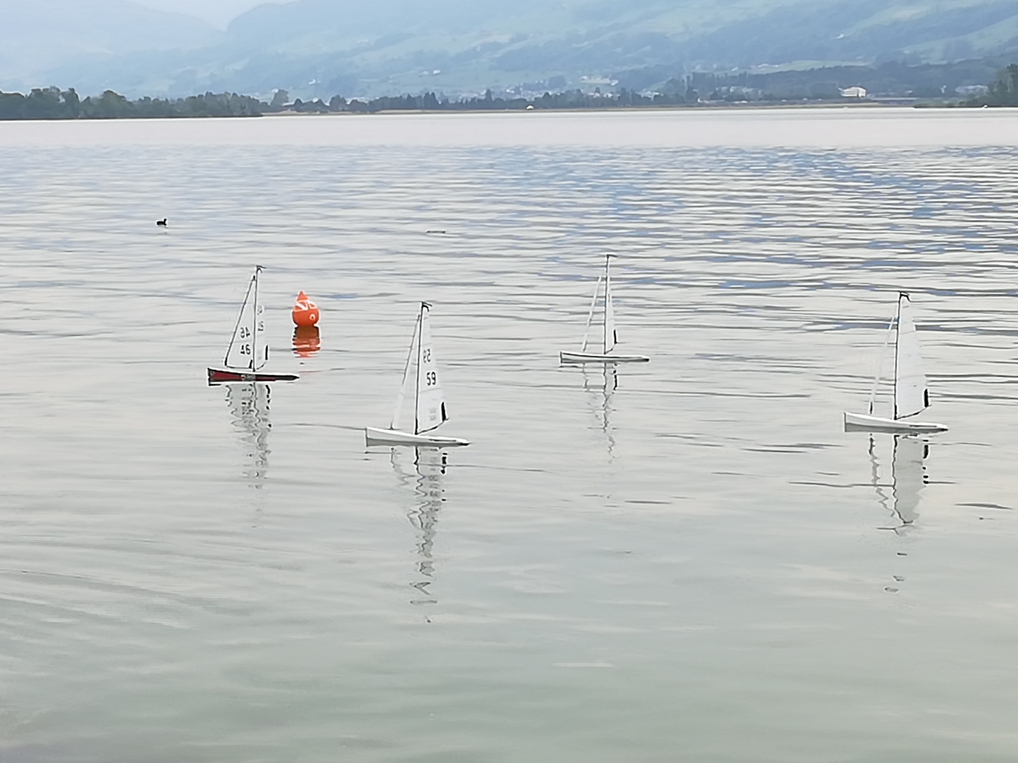 IMG_20190518_132541_resized_20190518_053529736