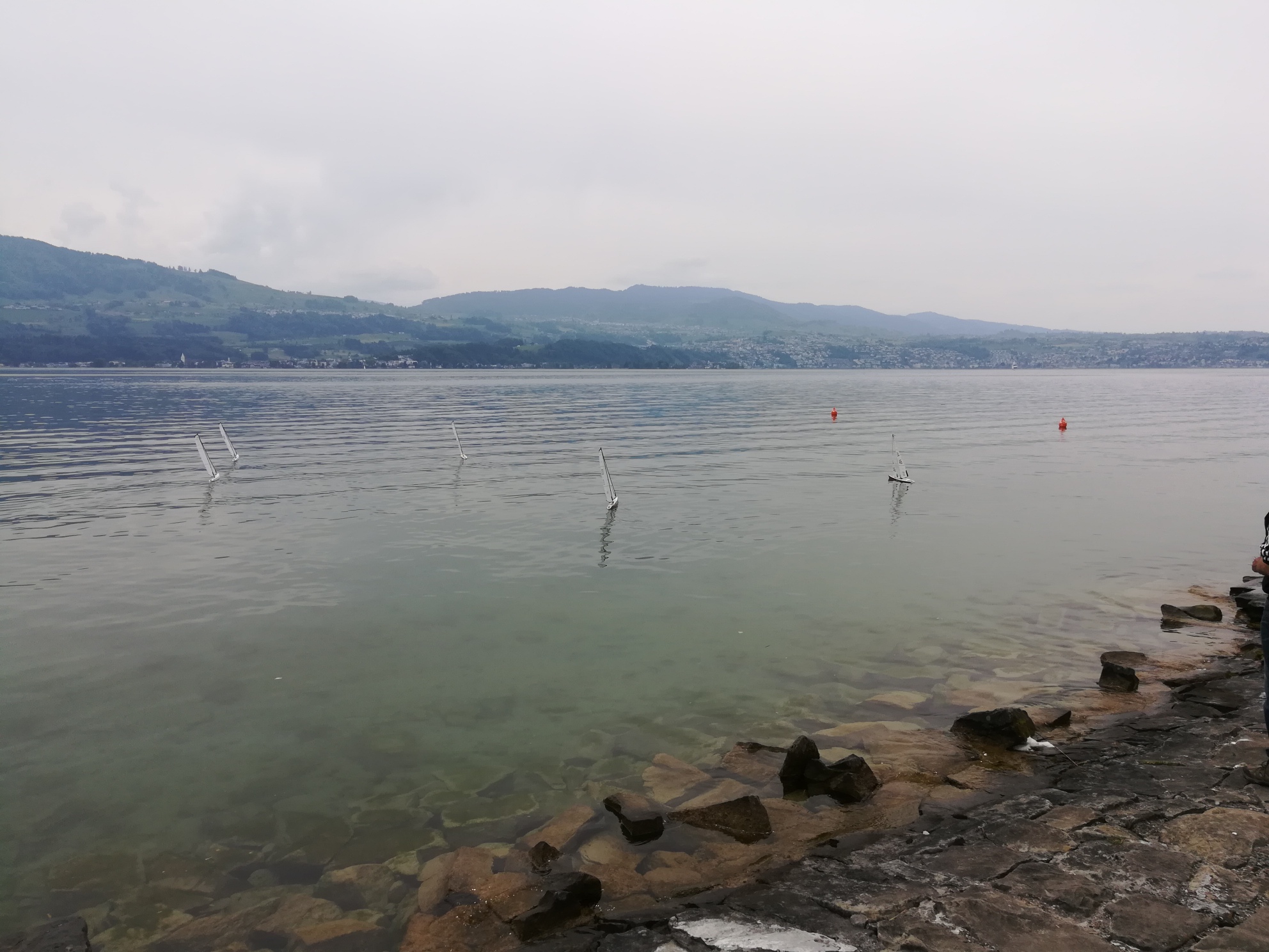 IMG_20190518_141104_resized_20190518_053526869