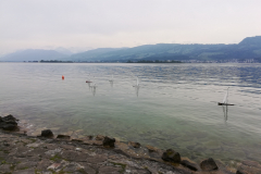 IMG_20190518_132533_resized_20190518_053530214