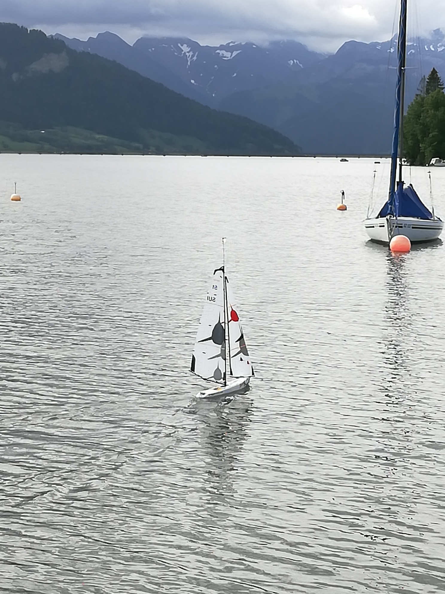 IMG_20190615_093144_resized_20190615_073744677