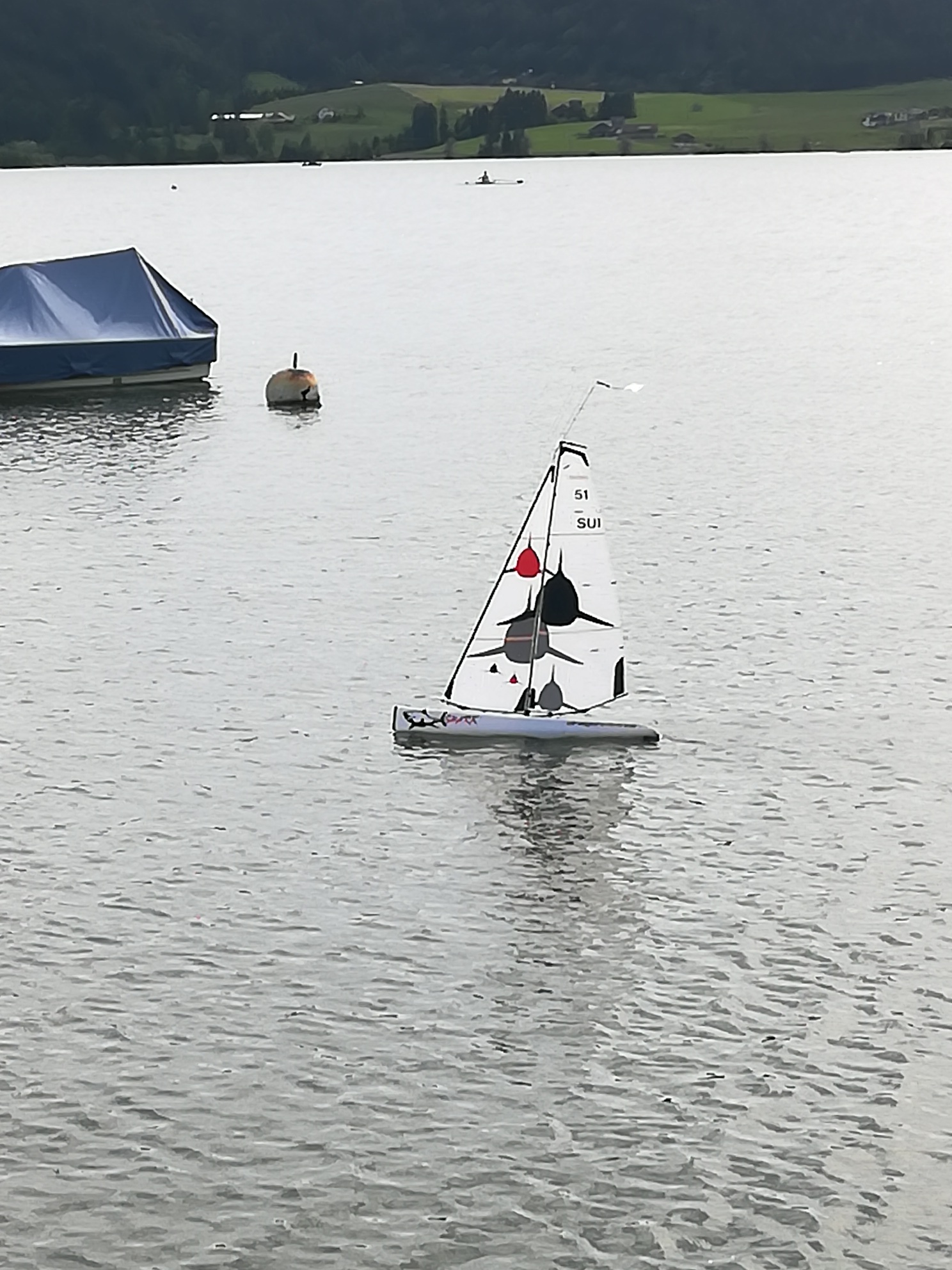 IMG_20190615_093259_resized_20190615_073748471