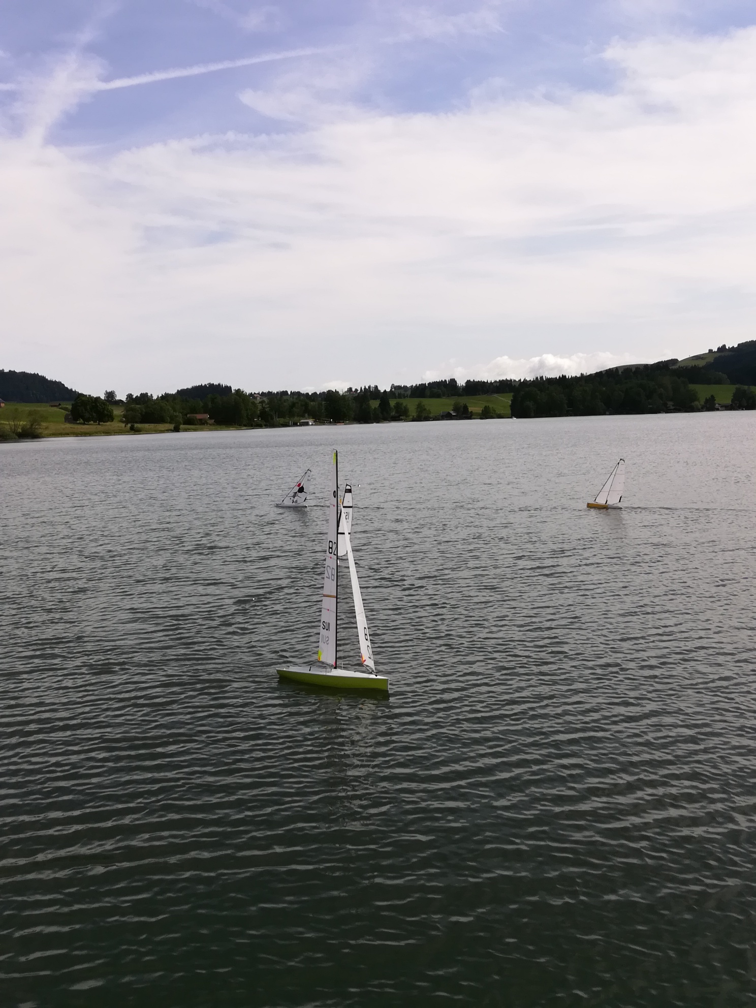 IMG_20190615_093323_resized_20190615_073750004