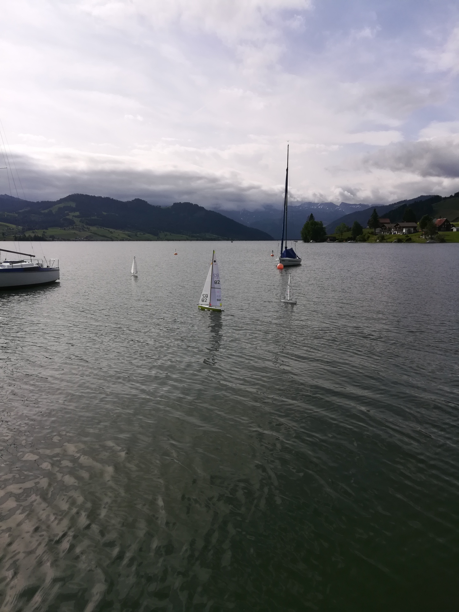 IMG_20190615_095511_resized_20190615_073743379