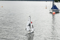 IMG_20190615_093144_resized_20190615_073744677