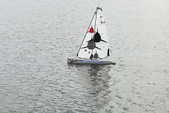 IMG_20190615_093257_resized_20190615_073739796